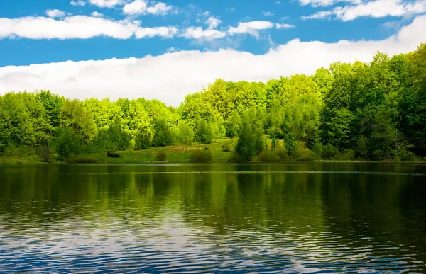 湖の森林に覆われた海岸に光のスポット 華やかな春の風景 — ストック写真
