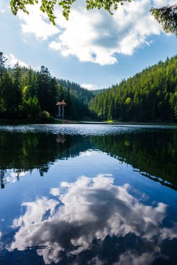 Synevyr Gölü yaz akşamı. orman arasında güzel manzarası. bir bulut sakinleştirmek su yüzey yansıması