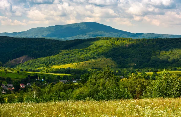 Dorf Tal Der Karpaten Schöne Sommerkulisse Einem Bewölkten Tag — Stockfoto