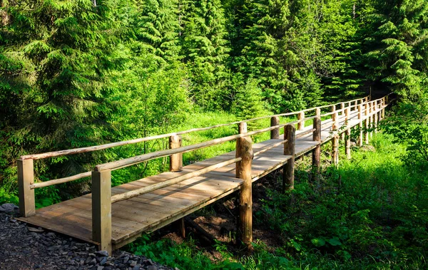 森の小さな木製の橋 夏の美しい自然風景 Synevyr 国立公園 ウクライナの場所 — ストック写真