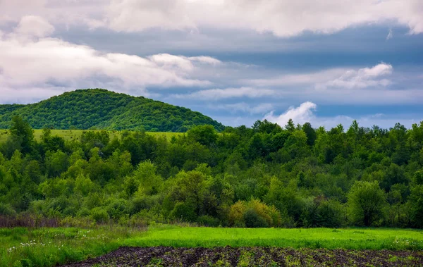 Сільські Поля Похмурий День Прекрасні Весняні Пейзажі Гірської Сільської Місцевості — стокове фото