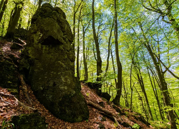 Skalní Formace Mezi Zelený Les Tajemné Místo Vypadá Jako Kamenný — Stock fotografie