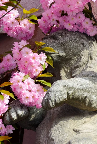 Όμορφη Άνοιξη Φόντο Γλυπτό Μιας Αρκούδας Ροζ Sakura Λουλούδια Την — Φωτογραφία Αρχείου