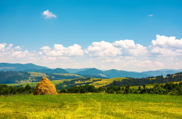 丘の上の草原の干し草 夏の美しい山間の田舎の風景 — ストック写真