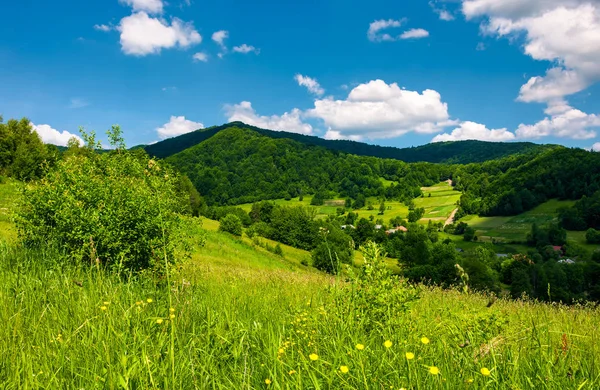 Grassy Hillside Mountainous Countryside Lovely Summer Scenery Village Green Valley — Stock Photo, Image