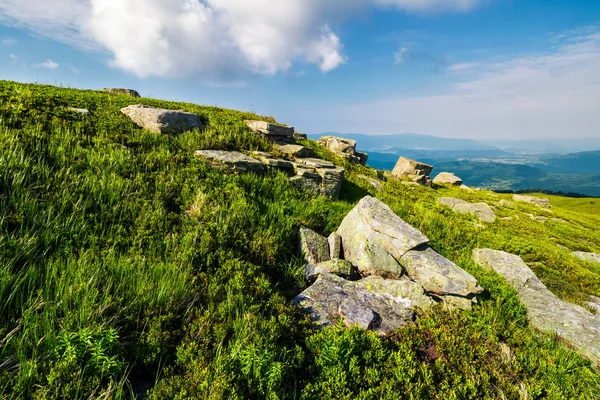 Colina Gramada Com Muitos Pedregulhos Linda Paisagem Montanhosa Bom Tempo — Fotografia de Stock