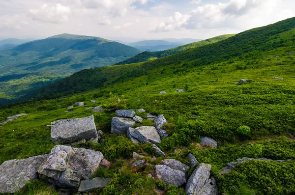Nádherný Výhled Hory Runy Krásné Letní Krajina Travnatých Kopcích Odstínu — Stock fotografie