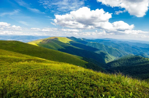 Kabarık Bulutlar Dağ Sırtı Üzerinde Muhteşem Yaz Manzara Karpat Alplerinin — Stok fotoğraf