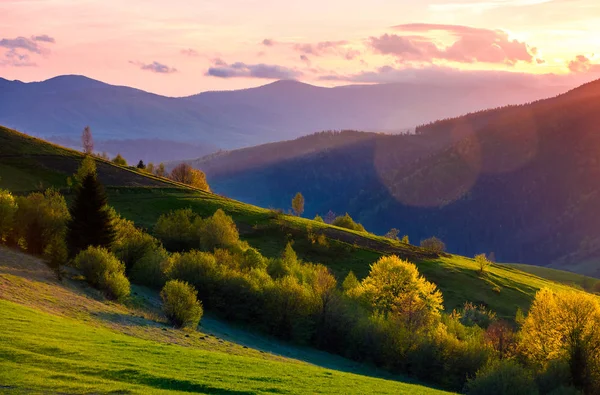 Kleurrijke Zonsondergang Karpaten Platteland Met Gras Begroeide Hellingen Met Enkele — Stockfoto