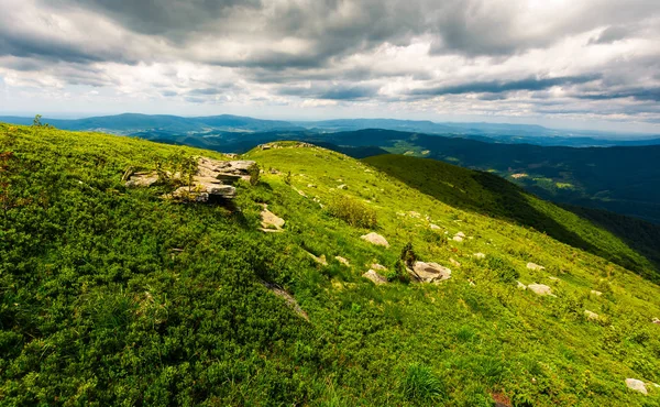 Encosta Gramada Montanha Dia Nublado Bela Paisagem Verão Montanhas Dos — Fotografia de Stock