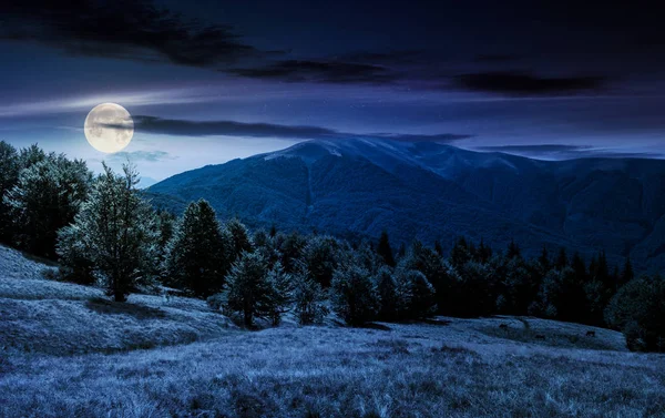 山毛榉森林在草甸在山在夜在满月光 Apetska 山脚下的美丽风景 — 图库照片
