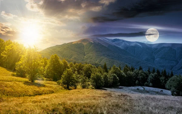 Conceito Mudança Tempo Sobre Floresta Faia Prados Gramados Montanhas Bela — Fotografia de Stock