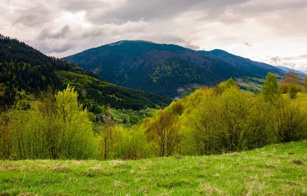 Krajina Karpatských Hor Jaře Nádherné Přírodní Scenérie Zamračený Den — Stock fotografie