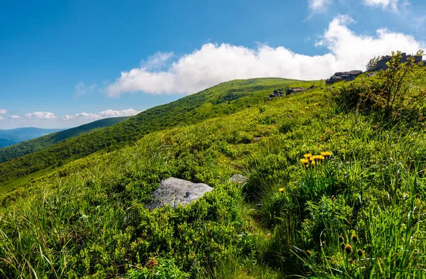 yolu yokuş yukarı içinde belgili tanımlık bulut. Yaz aylarında güzel dağ manzarası. Turizm ve yaz aktiviteleri kavramı