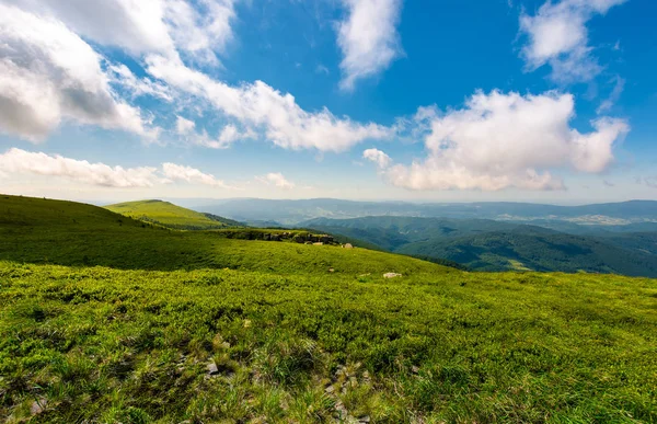 Prato Collinare Erboso Mattino Vetta Montagna Lontananza Sotto Cielo Blu — Foto Stock