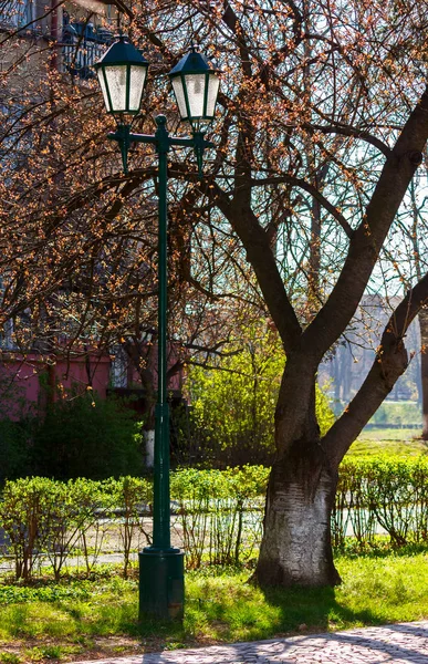 Old Lantern Sakura Park Lovely Urban Scenery Springtime — Stock Photo, Image
