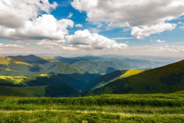 Karpat Dağları inişli çıkışlı hill. güzel yaz manzara