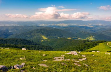 güzel manzara Runa Dağı'nda. bulutlu bir günde güzel ışık yaz sahne. büyük kayaların üzerinde bir otsu çayır