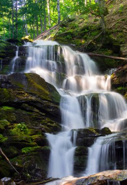 Ormanda çağlayan şelaleler. Güneşin doğuşunda güzel bir yaz manzarası. Su üzerindeki ışık demetleri. Doğa gücü ve güzellik kavramı