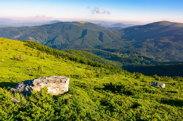 Grasbewachsene Hänge Den Bergen Schöne Sommerlandschaft Der Karpaten — Stockfoto