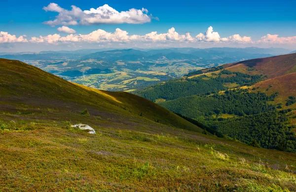 Dağ Hillside Renkli Çimlere Geç Yaz Aylarında Güzel Manzara — Stok fotoğraf