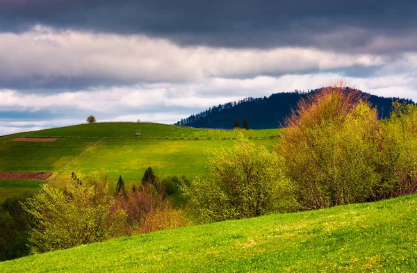 Wiosna Górski Krajobraz Piękny Krajobraz Wiejski Zalesionych Wzgórz Pól Rolniczych — Zdjęcie stockowe