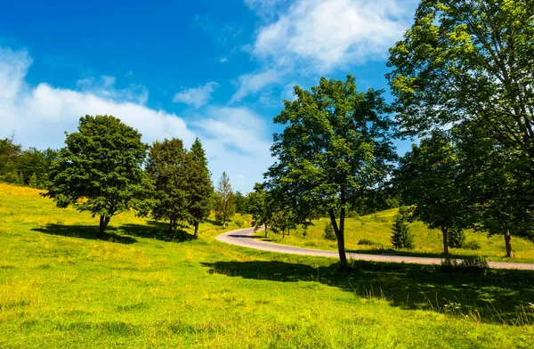 Bäume Auf Grasbewachsenen Hügeln Entlang Der Straße Lebendige Sommerlandschaft Bergiger — Stockfoto