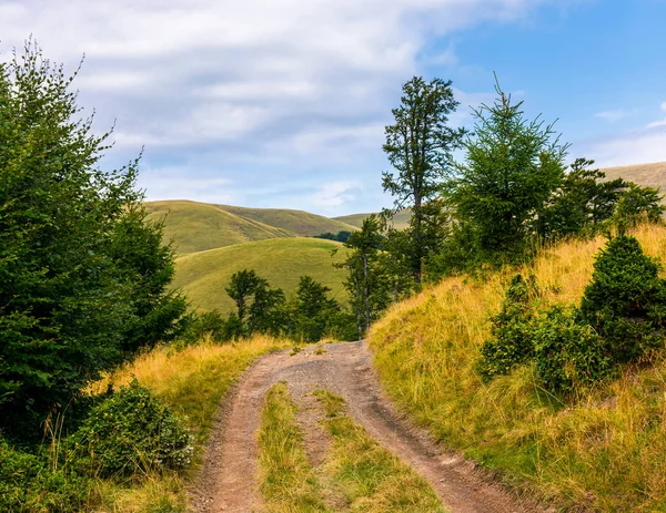 Vrachtwagen Weg Door Beboste Heuvels Van Karpaten Mooi Landschap Met — Stockfoto