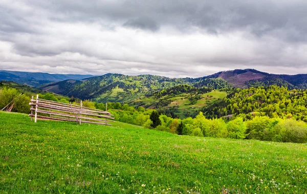 Lovely Rural Scenery Carpathians Beautiful Landscape Grassy Rural Fields Hills — Stock Photo, Image