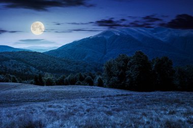 Apetska Dağı'nda gece dolunay ışık yakınındaki kayın ormanı. güzel yaz manzara Karpat Dağları'nın
