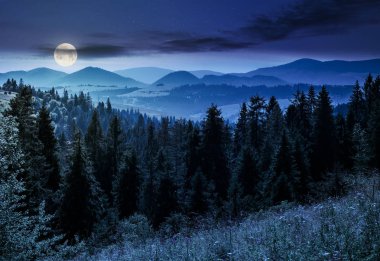 dolunay ışığı gece orman dağlarda Ladin. güzel yaz manzara