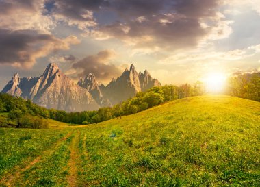 Bileşik yaz manzara. Yüksek Tatras çimenli yamaca orman yolundan. güzel yaz hava mavi gökyüzü ve gün batımında bulut