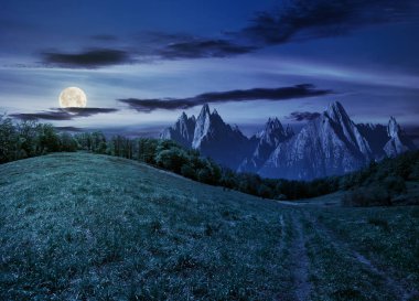 Bileşik yaz manzara. Yüksek Tatras çimenli yamaca orman yolundan. güzel yaz hava mavi gökyüzü ve bazı bulutlar gece dolunay ışık ile