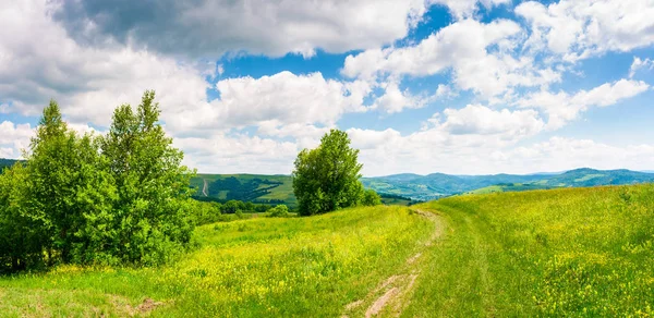 丘の中腹に草が茂った草原を通して田舎道 カルパティア山脈の美しい夏の風景 青い空の豪華な Cloudscape — ストック写真