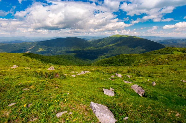 Karpatské Alpy Obrovské Balvany Svazích Krásné Letní Krajina Zatažené Den — Stock fotografie