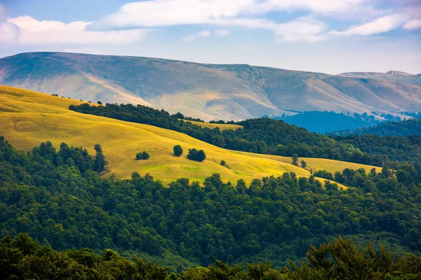 Hermosas Colinas Onduladas Montañas Cárpatas Hermoso Paisaje Verano Vista Pájaro — Foto de Stock