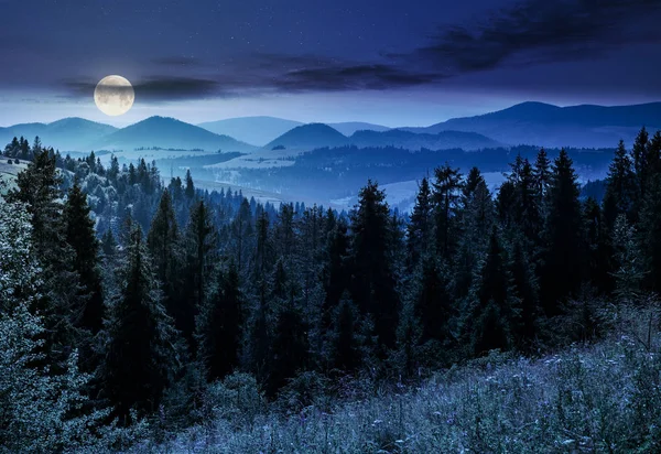 Spruce Skog Bergen Natten Fullmåne Ljus Härlig Sommarlandskap — Stockfoto