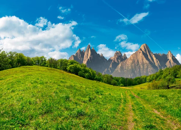 Paisagem Verão Composta Caminho Através Floresta Encosta Gramada High Tatras — Fotografia de Stock