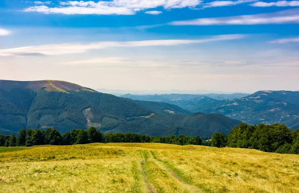 Route Montagne Travers Colline Avec Forêt Belles Pentes Herbeuses Par — Photo