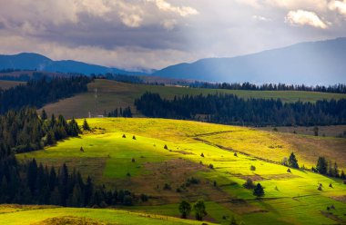 bulutlu bir günde dağlık kırsal alan. rolling hills haystacks ve çam ormanı ile muhteşem ışık. dağ sırtı uzak mesafe.