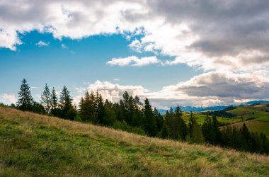 bulutlu bir günde otsu ormanlık tepelerde. Karpat Dağları güzel manzara Güz