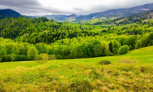 Carpathian Rural Area Springtime Lovely Landscape Mountainous Countryside — Stock Photo, Image