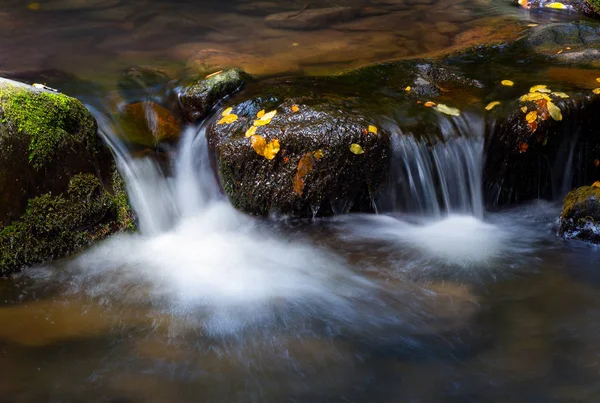 Каскад Воды Среди Скал Красивый Природный Фон Желтыми Листьями Мокрых — стоковое фото