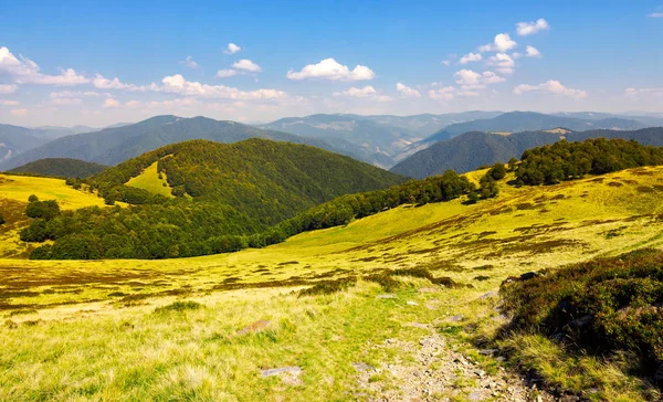 Vackra Landskap Krasna Bergsryggen Gräsbevuxna Sluttningar Och Skogsklädda Kulle Den — Stockfoto