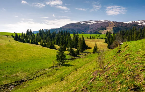 Trawiasta Podnóża Grzbietu Natura Piękne Dekoracje Borżawa Grzbiet Górski Sezon — Zdjęcie stockowe