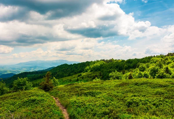 Gångstig Genom Gräsbevuxna Berg Äng Vackra Karpaterna Natur — Stockfoto