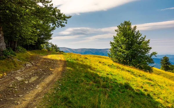 Estrada Rural Através Encosta Arborizada Encantadora Paisagem Verão Das Montanhas — Fotografia de Stock