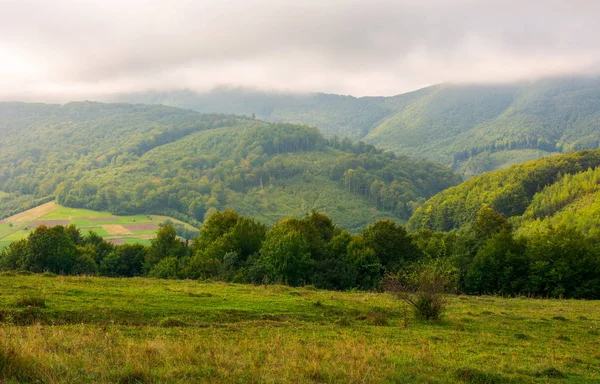 Paisaje Con Campos Bosque Ladera Precioso Amanecer Brumoso Las Montañas — Foto de Stock