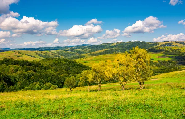 Řadě Stromy Stráni Podzim Krásnou Krajinu Horách Pod Modrou Oblohou — Stock fotografie