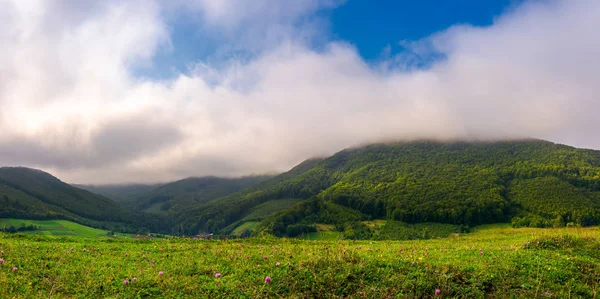 山坡上有田野和森林的风景 可爱的雾日出在山上 — 图库照片